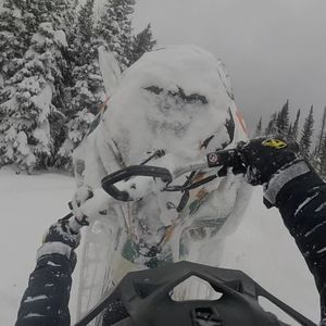 Meet your Posher, Aaron